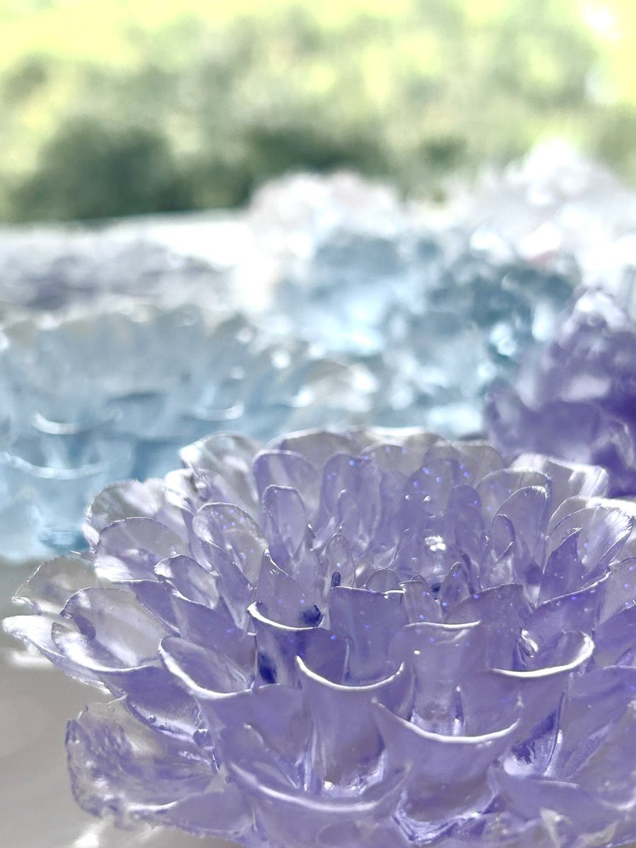 Delphimee's tweet image. #TLをお花でいっぱいにしよう

キラキラ˖ ࣪⊹透明感たっぷりのお花たち𖧷 ⁺.