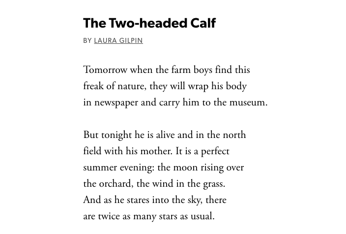 MayaCPopa's tweet image. Friends, I wrote a piece on poet Laura Gilpin, who died of glioblastoma in 2006. She is best known for “The Two-Headed Calf.”
With gratitude to @PoetryFound for letting me try to restore this healthcare practitioner/poet’s legacy.
poetryfoundation.org/articles/17056…