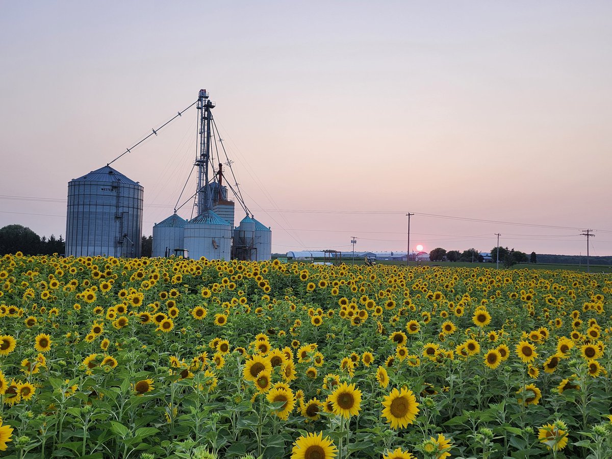 Hauke Claussen tweet media