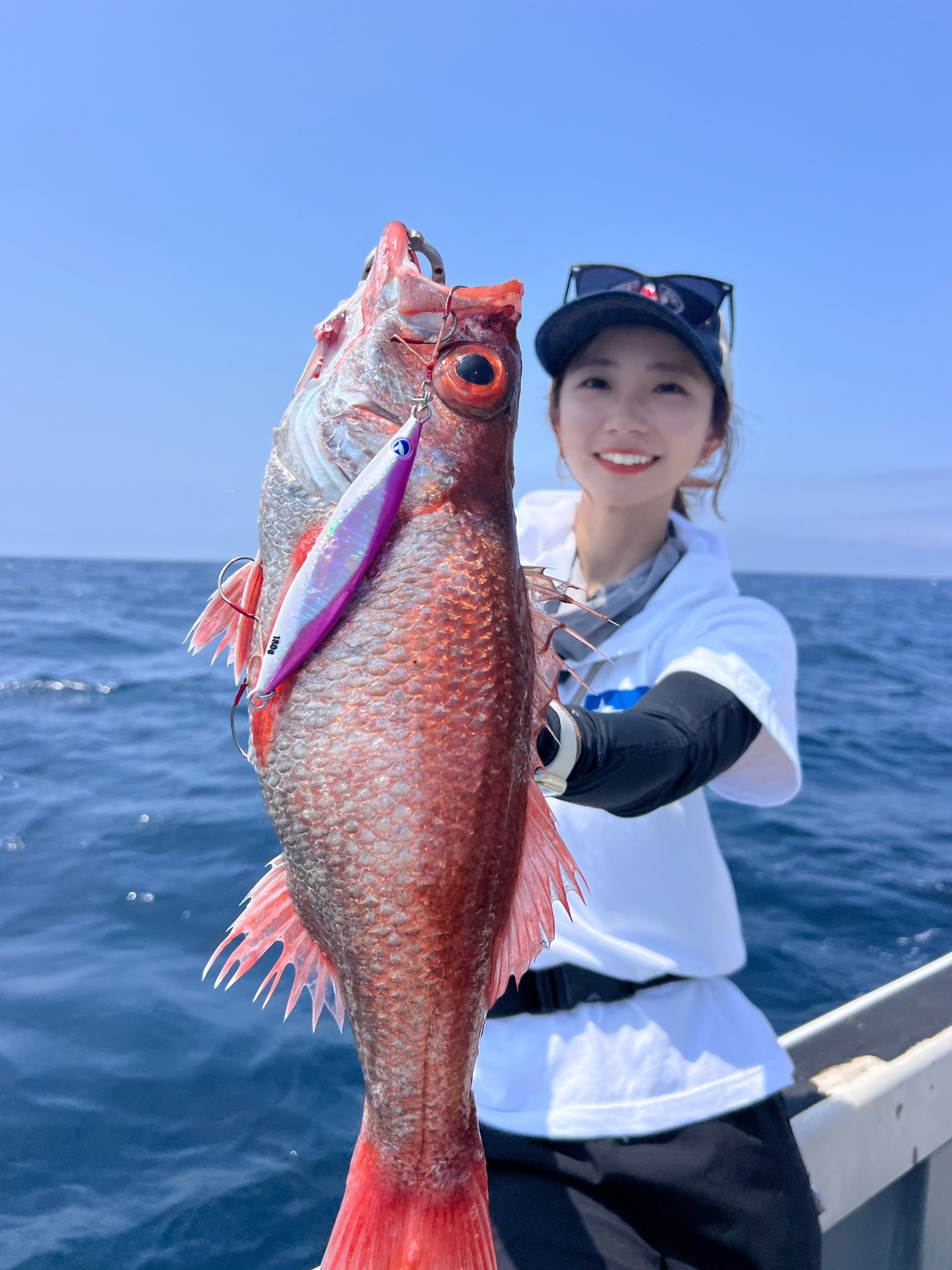 ごぼにゃんページ 譲渡型保護ハウス日向ぼっこ 小野加代子 on X: 
