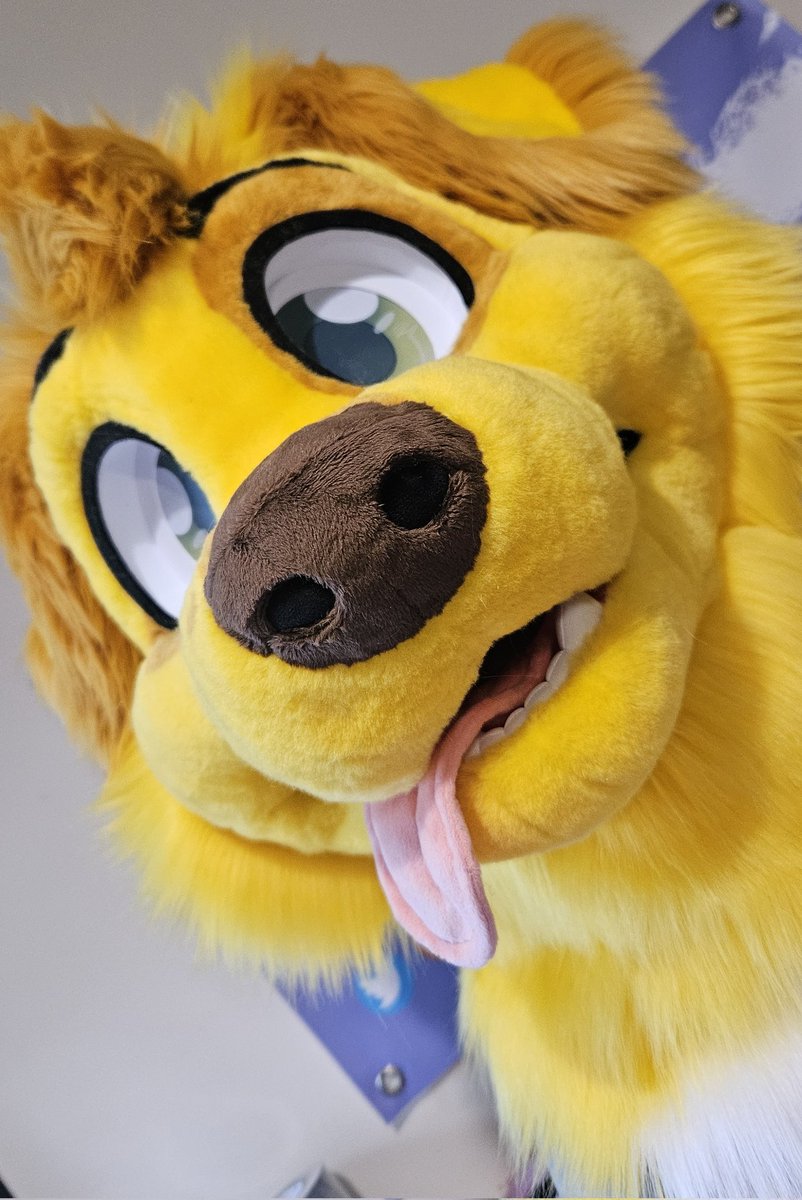 Oh no hes CUTE 🌻🐾

(Pssst hes open for early offers over on my channel thats pinned 👀)