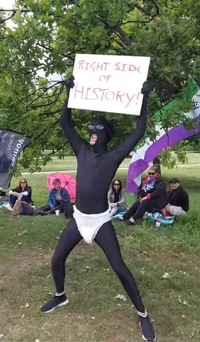 A reminder that "MrMenno" a transphobic gay man, and is also weird racist who dressed as a black baby at a transphobe event.