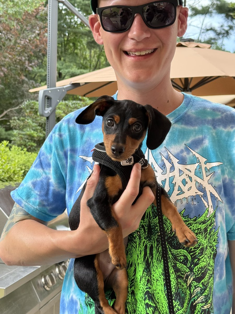 headdoc03's tweet image. Good Morning, frens! Hope your week end was great! We met our new Cuzzin Lenny and had a great time swimming and visiting. Mom put up the baby pool for Lenny. Can you believe he is smaller than Pattie Cakes?? Mom was very proud of us because we were so gentle with him. ❤️😍