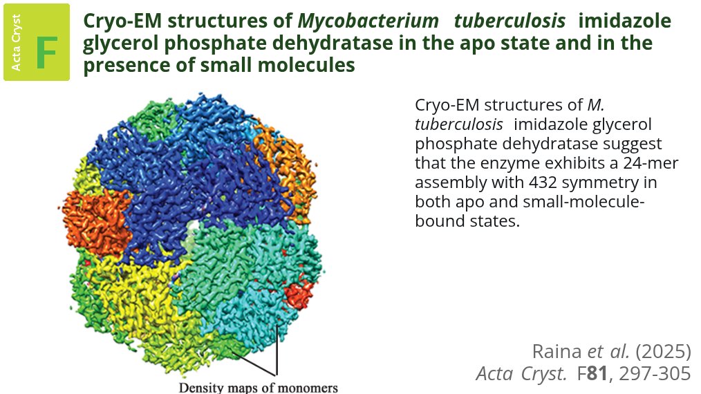 This study of imidazole glycerol phosphate dehydratase suggests that cryo-EM can be useful in pinpointing the mode of binding small molecules of low mass and mapping protein-ligand interactions #CryoEM #Tuberculosis #HistidineBiosynthesisPathway doi.org/10.1107/S20532…