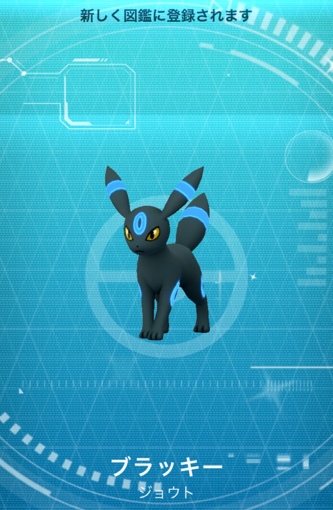 SP25th ミュウ　ブラッキー⭐︎ 2025年最新】ポケモンカード ブラッキー 25th psa10の人気