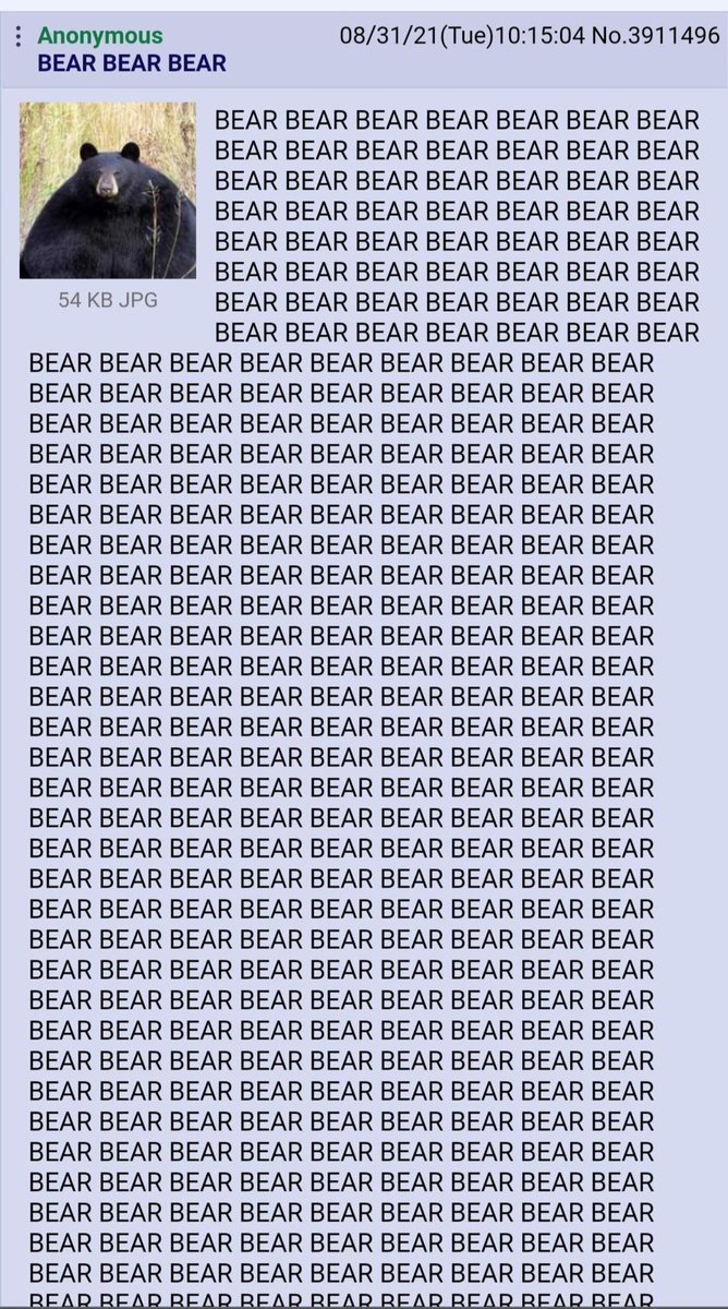 BEAR BEAR BEAR