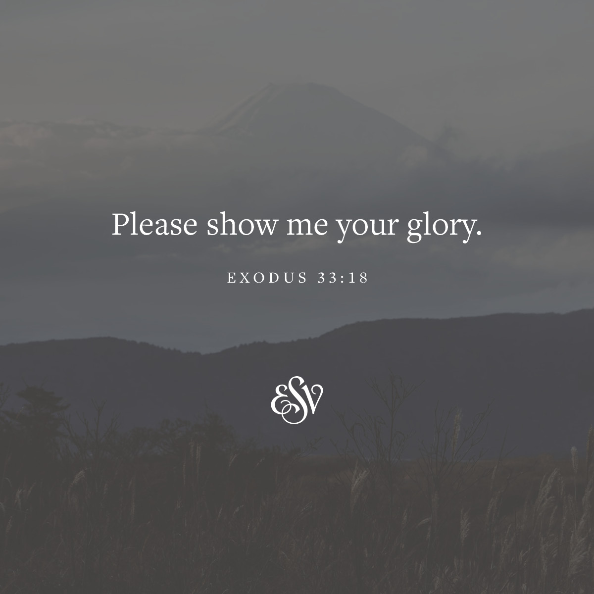 crossway's tweet image. Please show me your glory.
—Exodus 33:18 (ESV)
#Verseoftheday #ESV #Bible #Bibleverse #Exodus