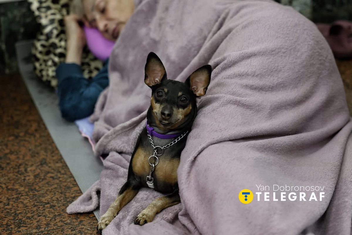 StratcomCentre's tweet image. Kyiv residents sheltering in metro stations during last night's massive missile and drone attack on the city.