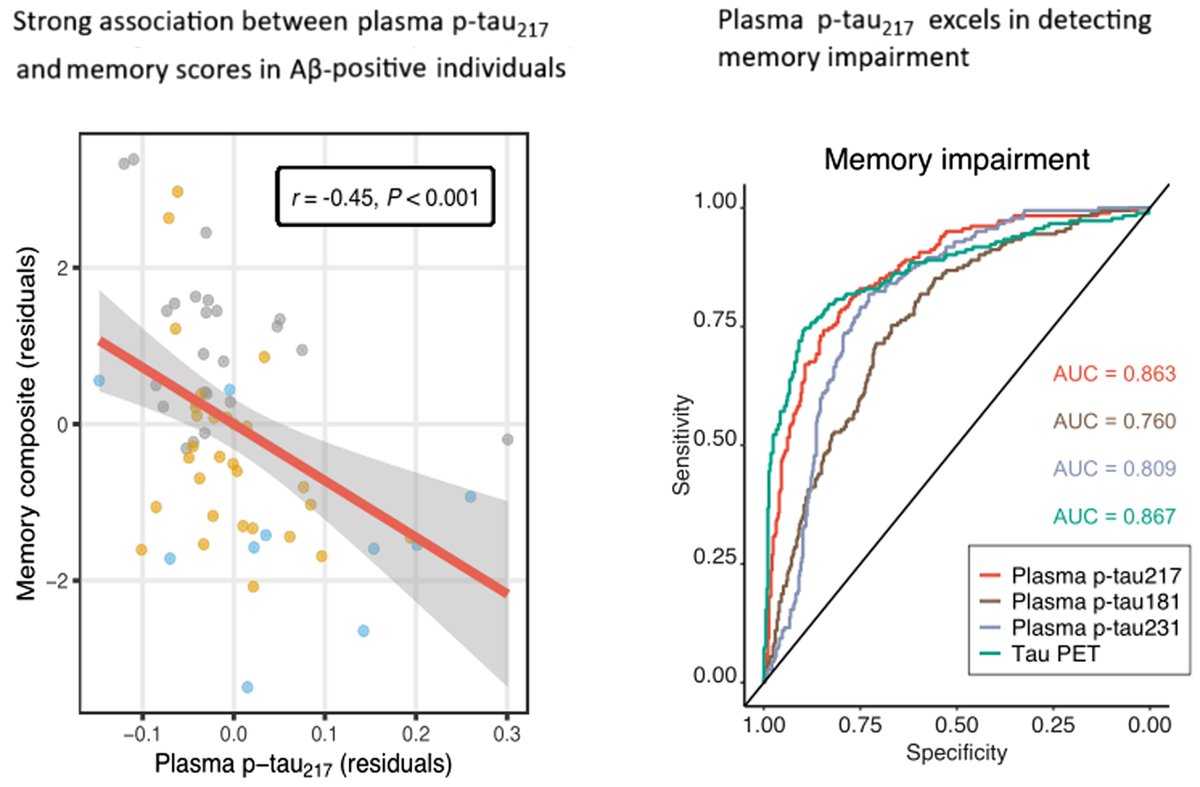 Brain1878's tweet image. Fernández Arias et al. show that plasma p-tau217 concentrations are more strongly associated with cognitive performance in AD than other plasma p-tau biomarkers, and outperform the other biomarkers in predicting memory impairment. tinyurl.com/ycxcskej