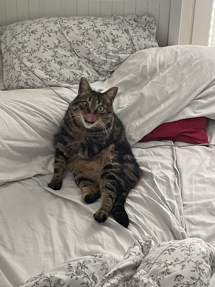 Универсам:очка tweet media