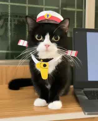 $Sheriff
ca: 
HMptQAHGhxX94hbRrNUYRPgAGxHGg2M7sy6adNmbJ76y
GMGN看线直达:
gmgn.ai/sol/token/NeM9…
SOL免费电报监控群:
t.me/JiFengSOL