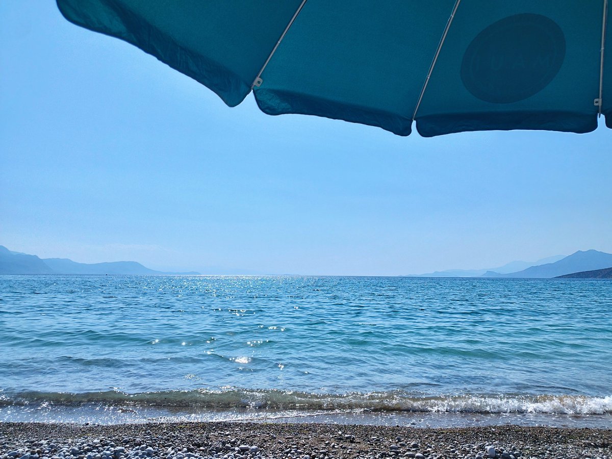 Intacto690540's tweet image. Vitamin Sea