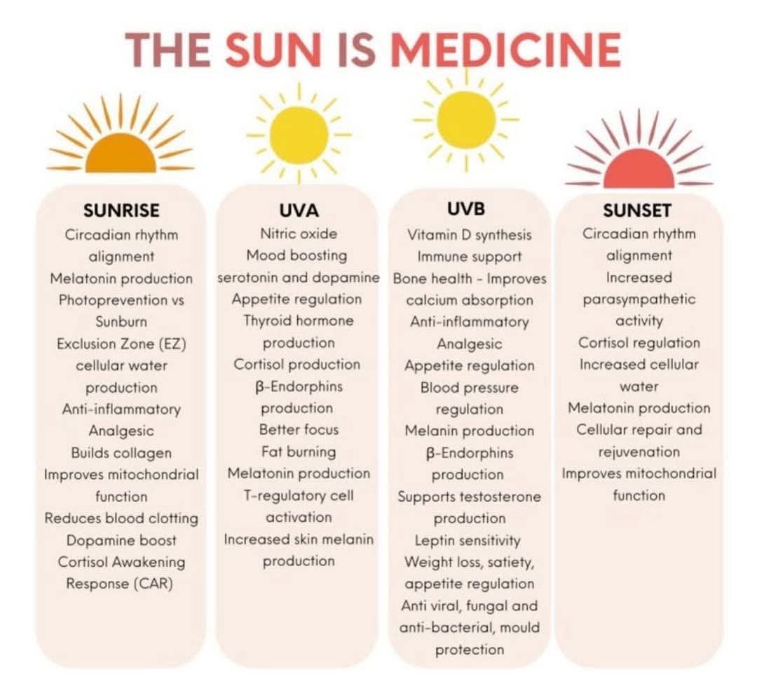 Truth Seeker tweet media
