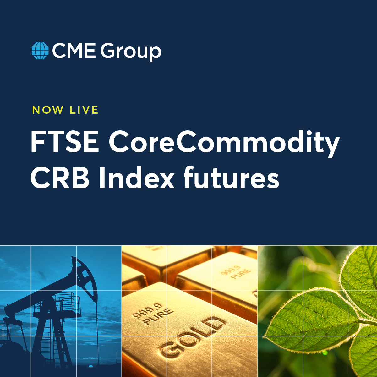 CMEGroup's tweet image. From crude to corn, fuel your trading strategy with a single, powerful contract that captures broad-based commodity exposure – FTSE CoreCommodity CRB Index futures are now live.
Explore the contract ➡️ spr.ly/6010fBIop