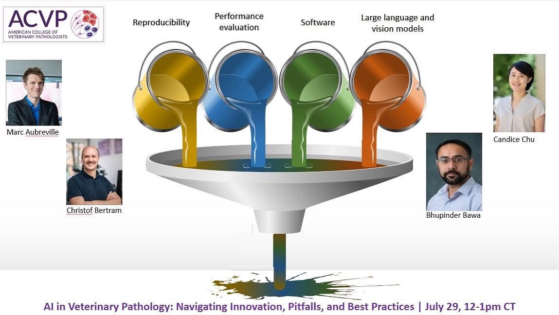 🔬Candice Chu, DVM, PhD, DACVP tweet media
