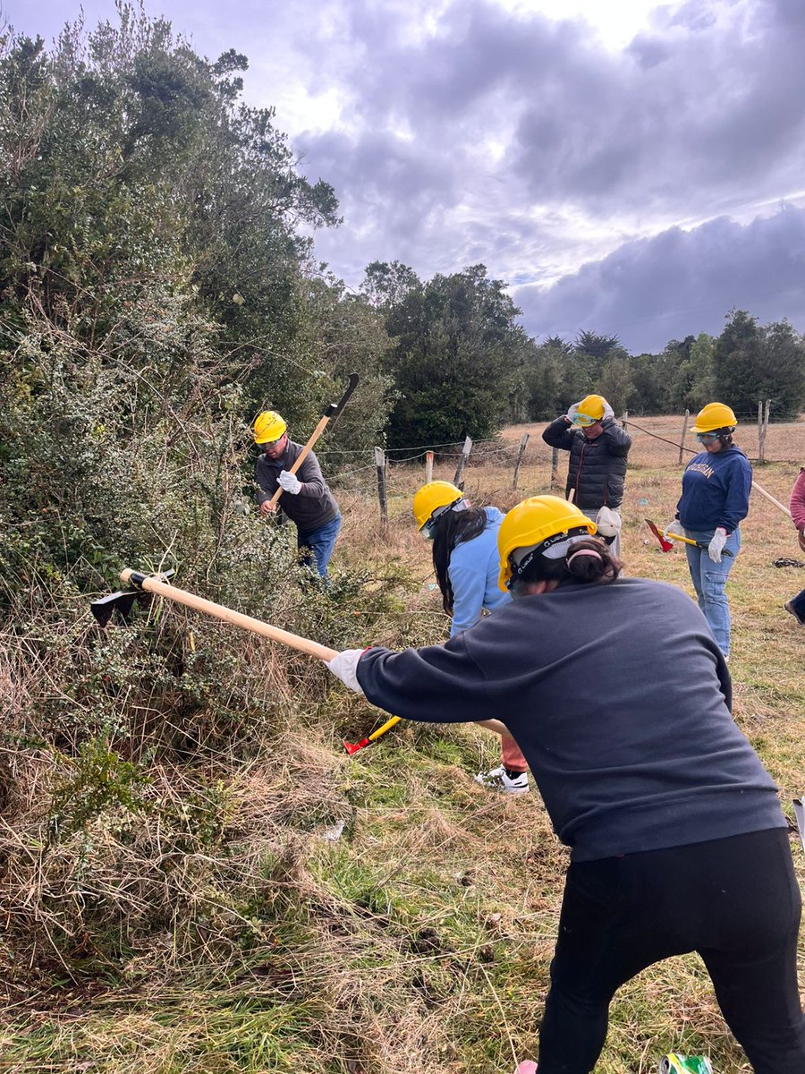 conaf_loslagos's tweet image. En Isla Puluqui comuna de Calbuco,Conaf realizó taller de Silvicultura preventiva y uso del fuego.Además se entregaron herramientas gracias al Fndr del Gore Los Lagos @conaf_minagri @MinagriLosLagos