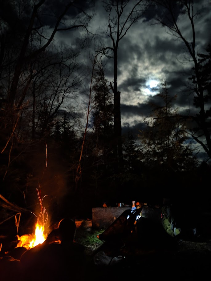 shagbark_hick's tweet image. The elderly chain-smoking lady at the gas station in the Adirondacks has spoken:
"fall's coming early this year, I can tell."
It was 46 degrees last night. We are entering summer's final weeks. Soon: endless dark rain, sweaters, cider.