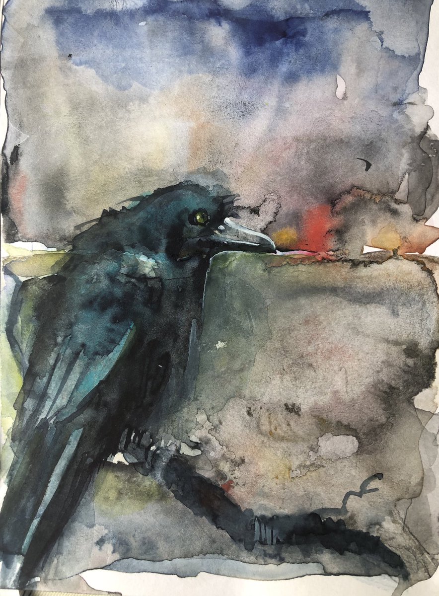 Lots of these guys hanging around at the moment 
#crows #watercolour 🐦‍⬛