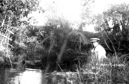 A "water-nymph," by Ernest Brown, 21 July 1907 (B591).