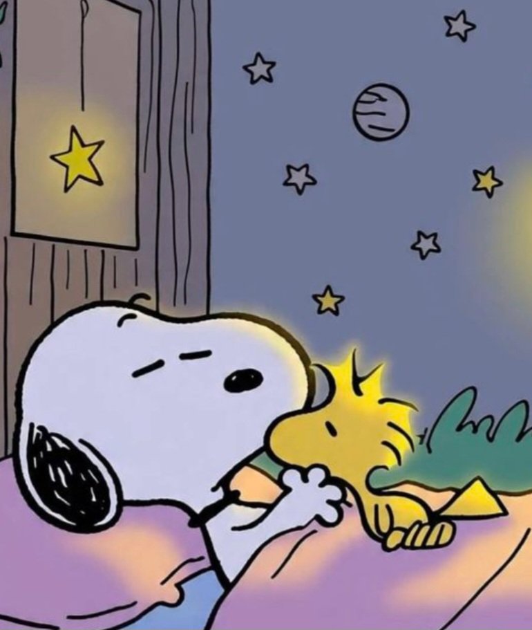 Snoopy (@snoopyphotos) on Twitter photo 