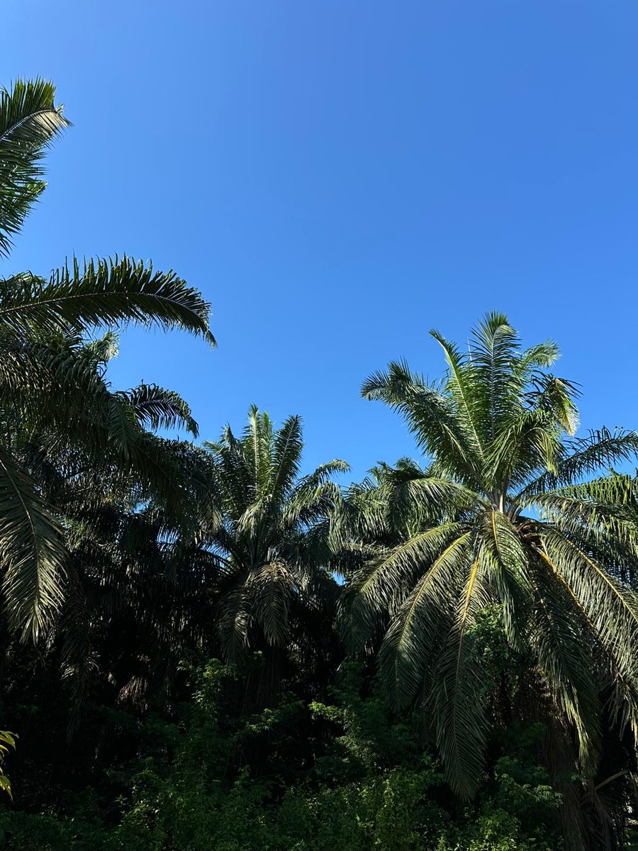 DGS Visits tweet media