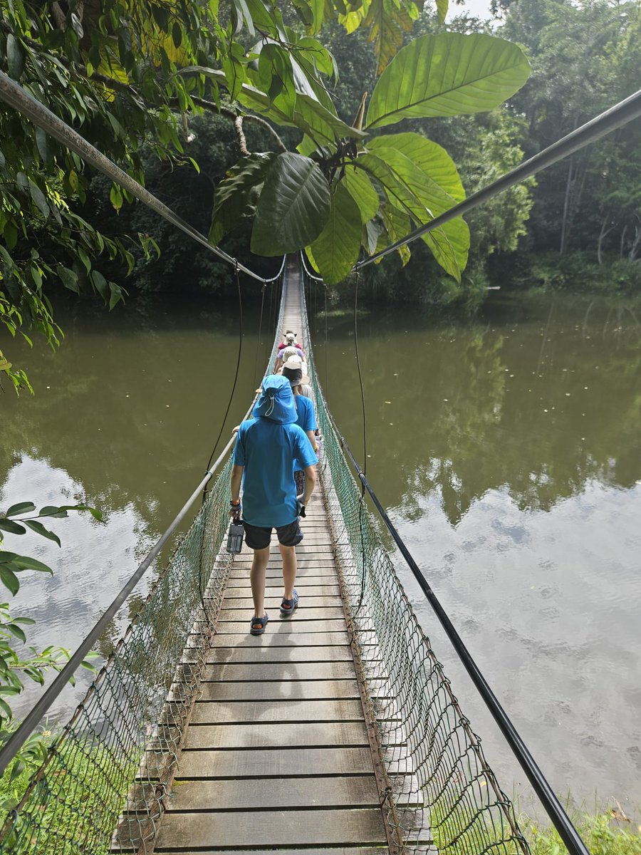 Team 3 visited the Orangutang Rehabilitation Centre yesterday, learning all about the work being done to protect these amazing primates.  They also visited the Sun Bear Conservation Centre before heading back to Kota Kinabalu and their community project in Tenom.