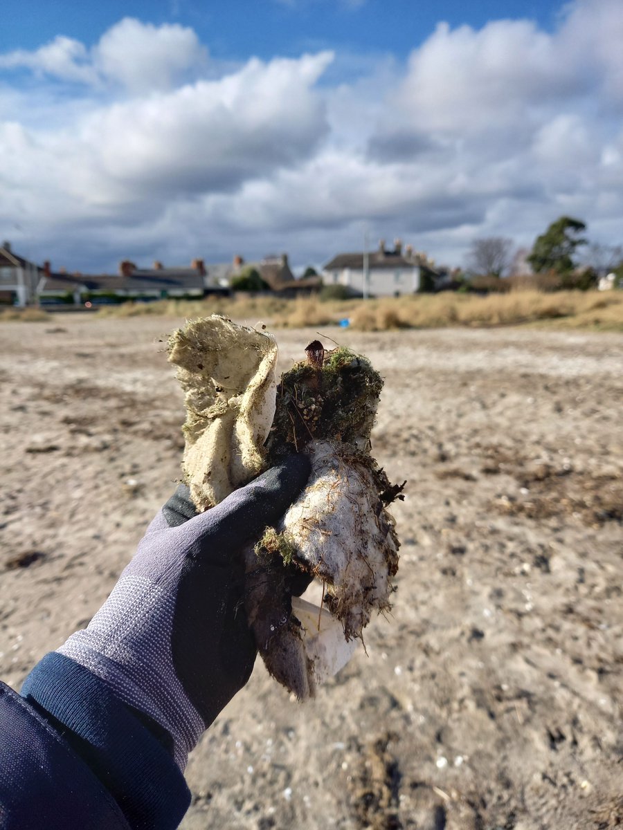 CleanCoasts's tweet image. The Spanish Government is creating a new law that will make wet wipe manufacturers cover the cost of cleaning up their products from clogged sewers and water-treatment plants.๐ซ๐ฝ
Should Ireland follow suit? ๐ #ThinkB4UFlush @irishwater