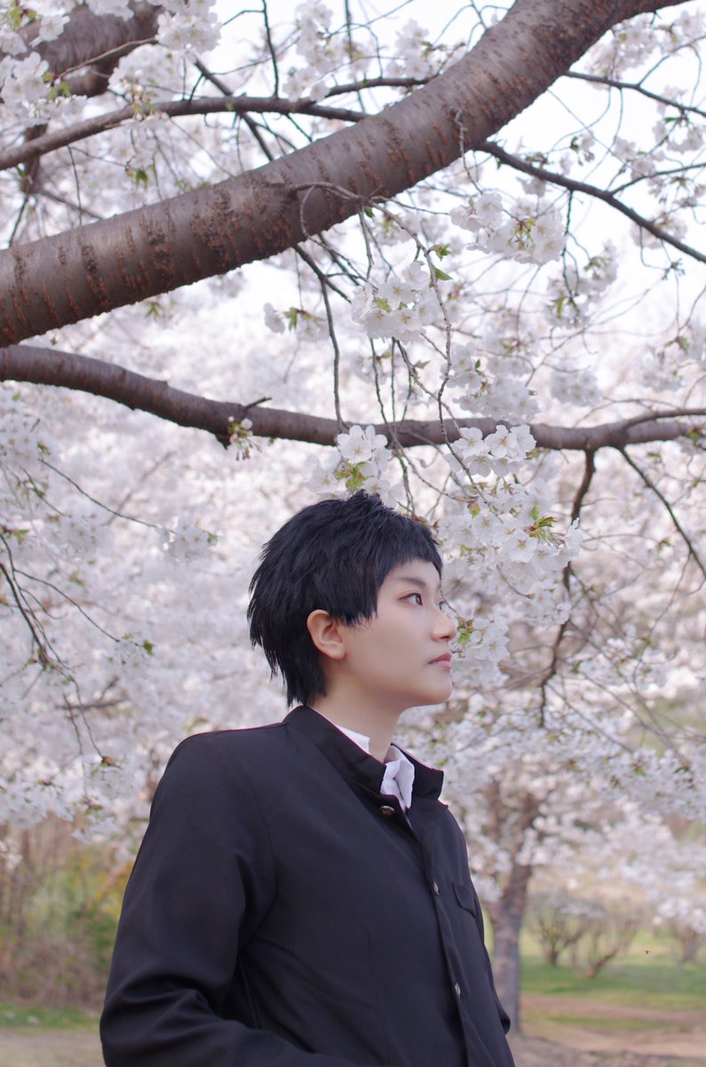 ⚠️cosplay コスプレ
澤村 大地🌸

p. <a href="/BgtBBANG/">바게트🥖</a> 

#HQ
#cosplay #コスプレ