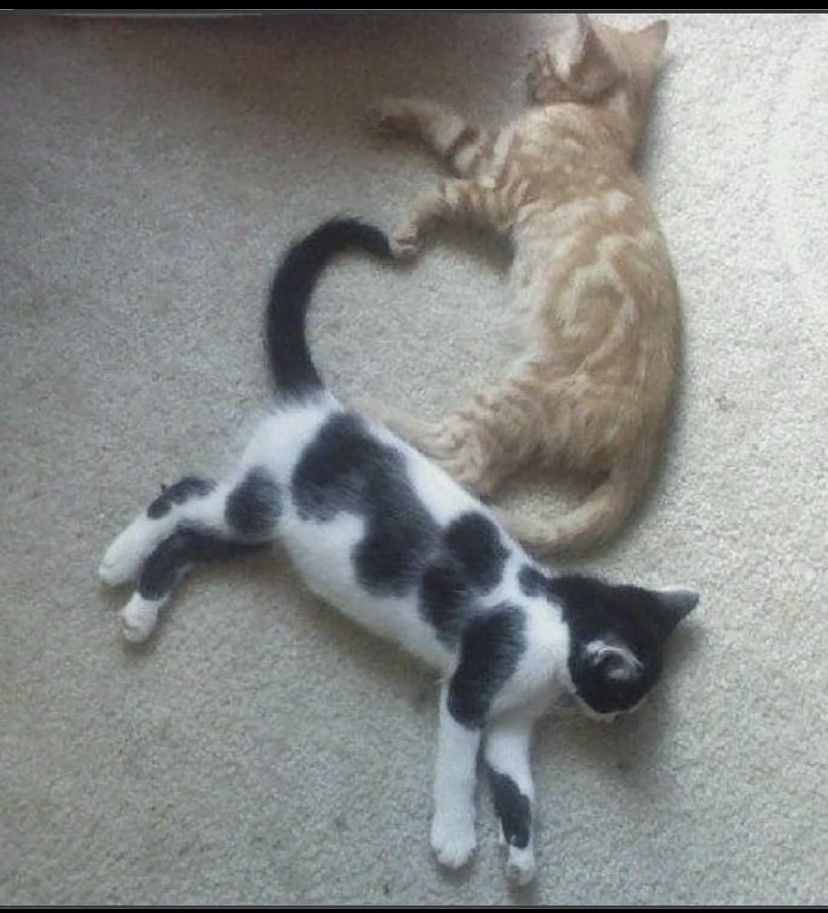 ❤️