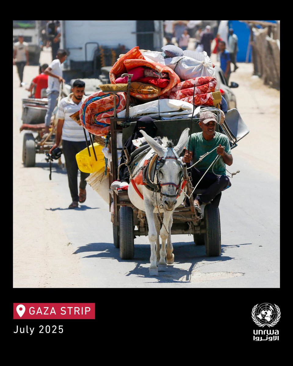 UNRWA's tweet image. Displacement continues across #Gaza, where just over one tenth of the territory remains accessible — now further cut off between north and south.
People are being forced to flee again, with nowhere safe to go.
Many have been displaced already several times.
A #ceasefire is…