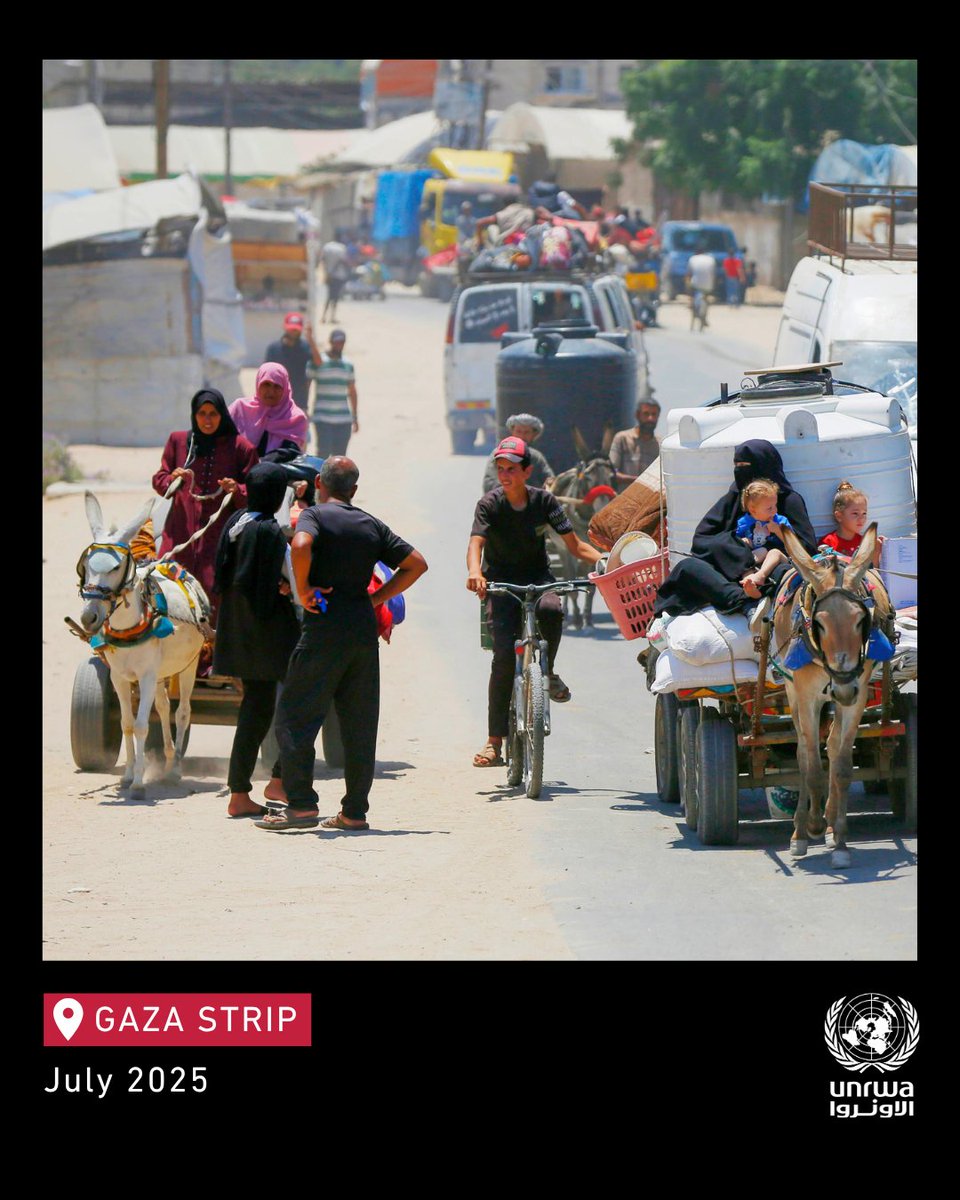 UNRWA's tweet image. Displacement continues across #Gaza, where just over one tenth of the territory remains accessible — now further cut off between north and south.
People are being forced to flee again, with nowhere safe to go.
Many have been displaced already several times.
A #ceasefire is…