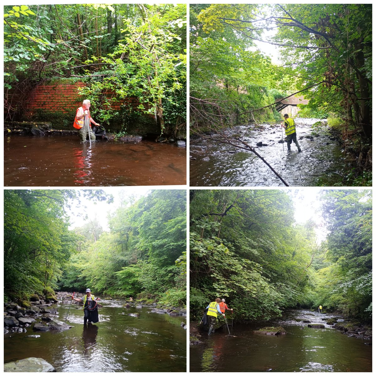 WOLCT's tweet image. Whilst the land crew were busy around Spylaw Park, we also had a crew in the river, wading for litter, removing Himalayan Balsam, and treating Japanese Knotweed. Quite a haul of rubbish for such a quiet stretch of river, and a problematic stand of Balsam eradicated. Thanks folks!