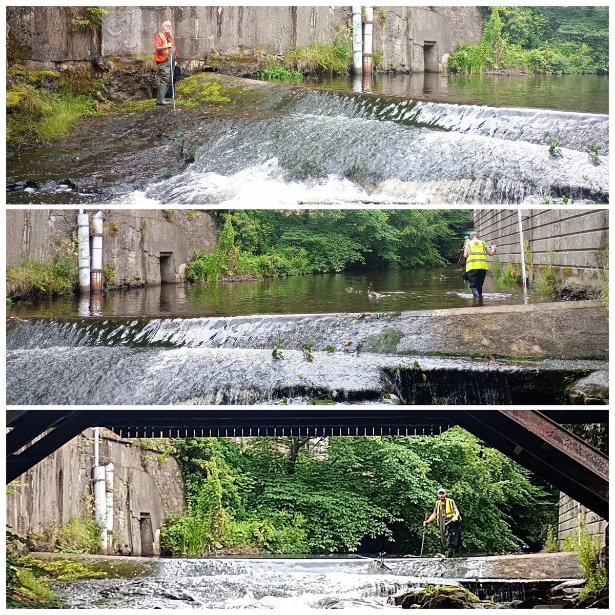 WOLCT's tweet image. Whilst the land crew were busy around Spylaw Park, we also had a crew in the river, wading for litter, removing Himalayan Balsam, and treating Japanese Knotweed. Quite a haul of rubbish for such a quiet stretch of river, and a problematic stand of Balsam eradicated. Thanks folks!