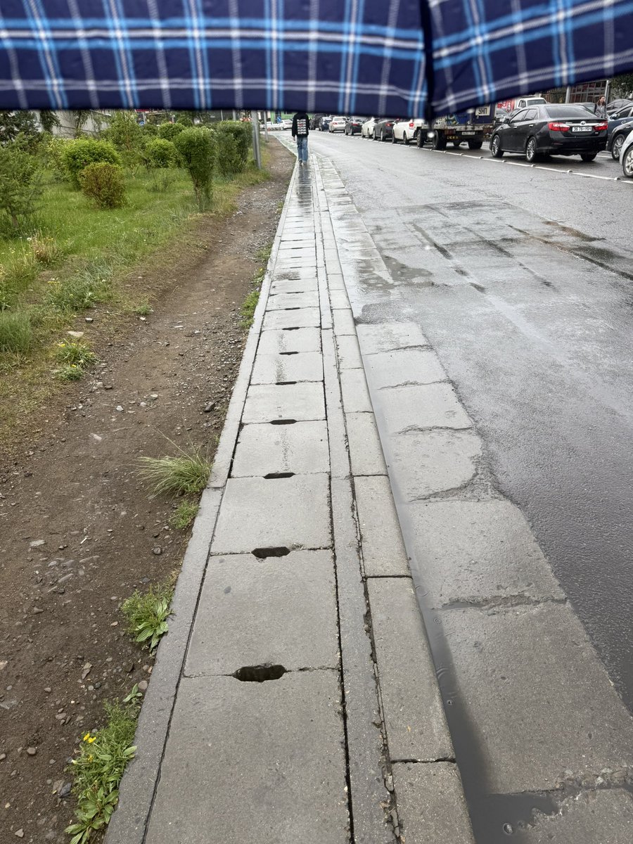 Монголын ус зайлуулагч.