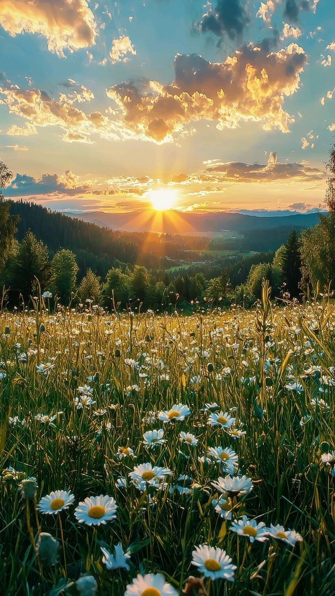 BardCumberland's tweet image. #ThoughtoftheDay 💚
"Those who dwell among the beauties and mysteries of the earth are never alone or weary of life. Those who contemplate the beauty of the earth find reserves of strength that will endure as long as life lasts. The more clearly we can focus our attention on the…