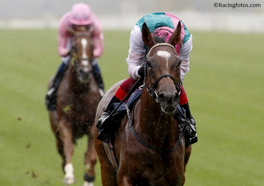 Five years ago, Enable made history when she became the first horse to win the King George VI and Queen Elizabeth Stakes (G1) for a record third time. This year's race is on Saturday.