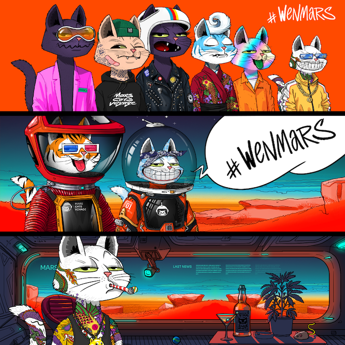 MarsCatsVoyage's tweet image. Never. Left. 😼🚀