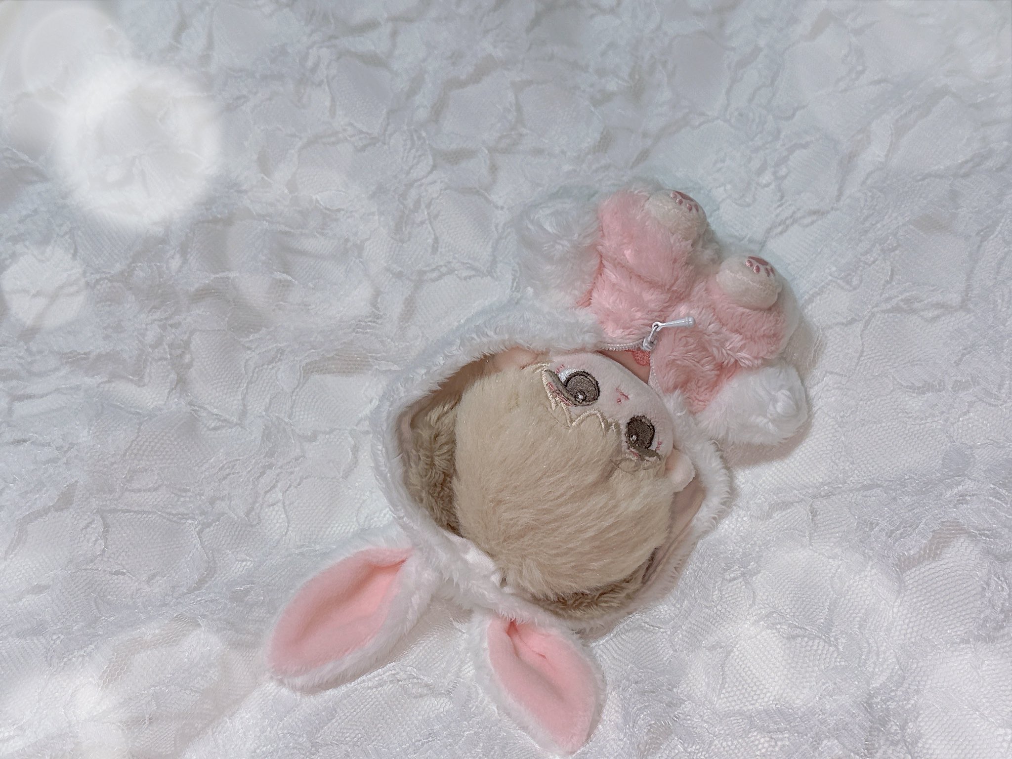 しょりんうさぎちゃんとくまさんのデート、コスモス、秋アレンジ❣️ピンク❁⃘* Ꮇꭵꮇꭴ on X: 