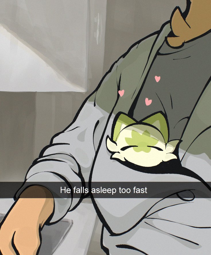 talvez necesitaré otro gato