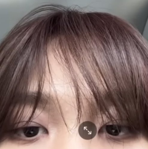 내냥멍이들.....