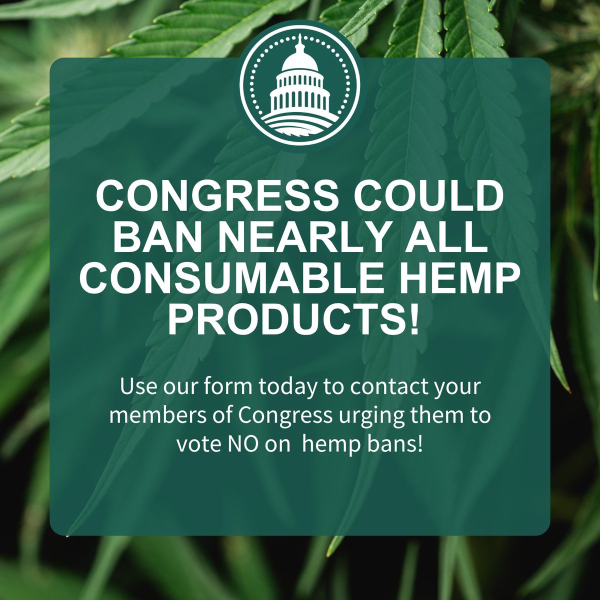 Congress may vote this week to redefine hemp and ban nearly all consumable products. This is a direct threat to farmers, consumers, and small businesses. Contact your lawmakers now and tell them to support smart hemp regulation, not a ban.
hempsupporter.com/bill/help-stop…
