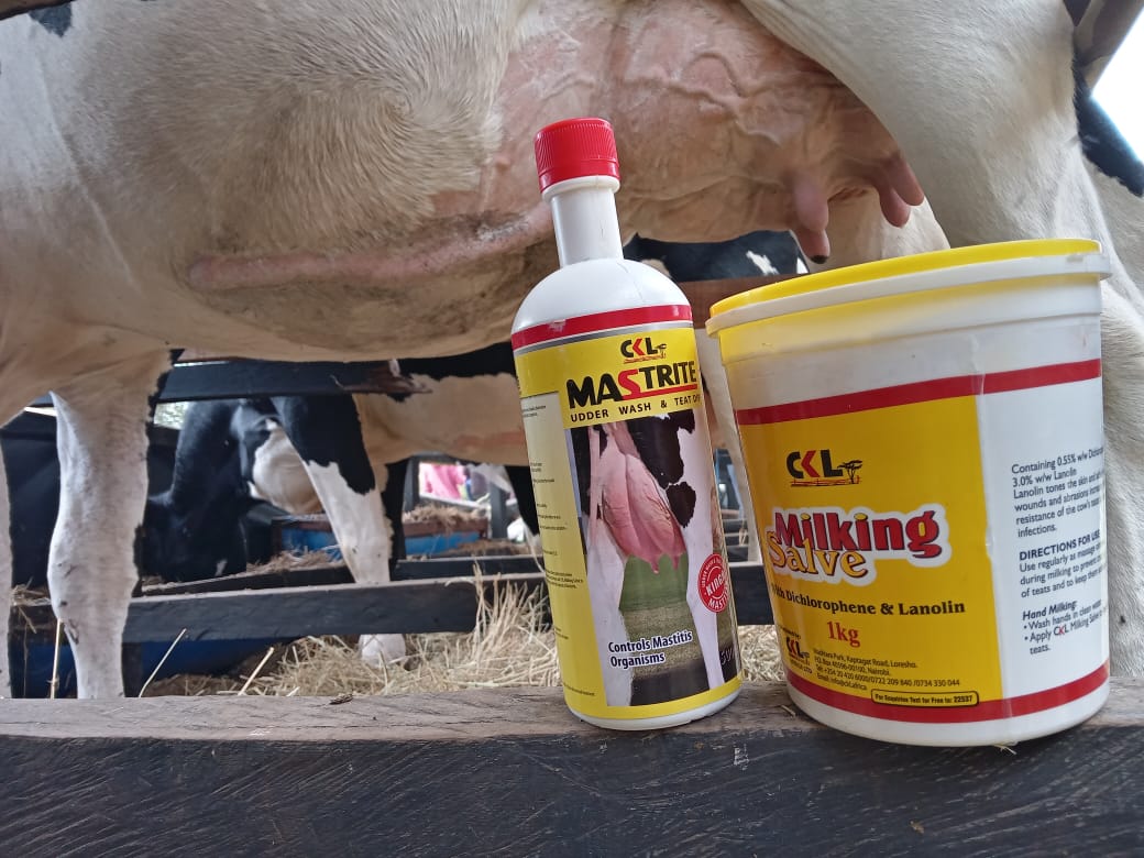 Mastitis is one of the most costly diseases in dairy farming but with the right hygiene practices, it’s completely preventable. Download our dairy hygiene guide here shorturl.at/QWF3t and get started on building a mastitis-free dairy routine .
