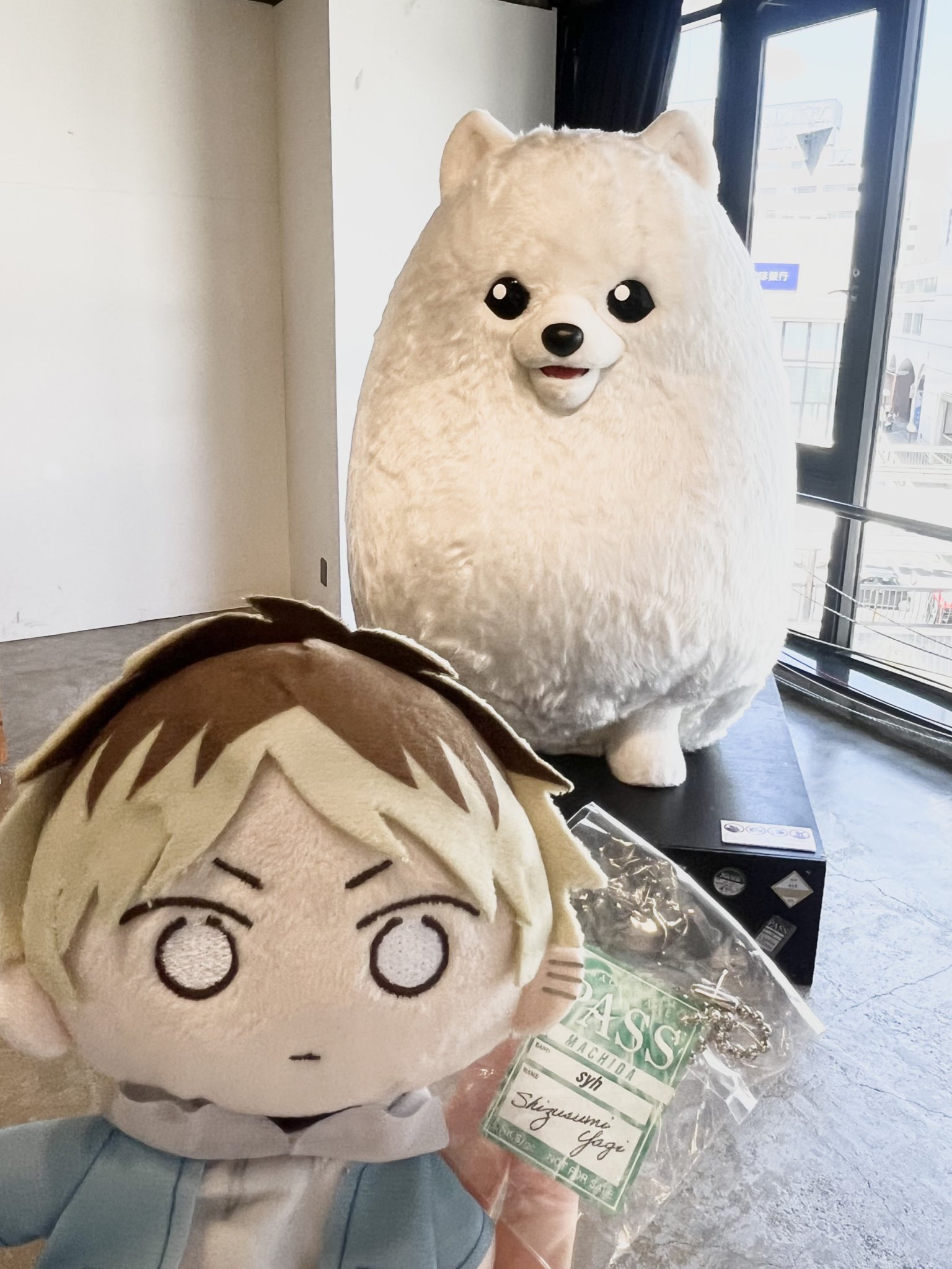 pimoオーダーページ•*¨*•.¸¸♬ 小川彰子さん監修 ショート丈ピーコート 黒【AOKI公式通販】