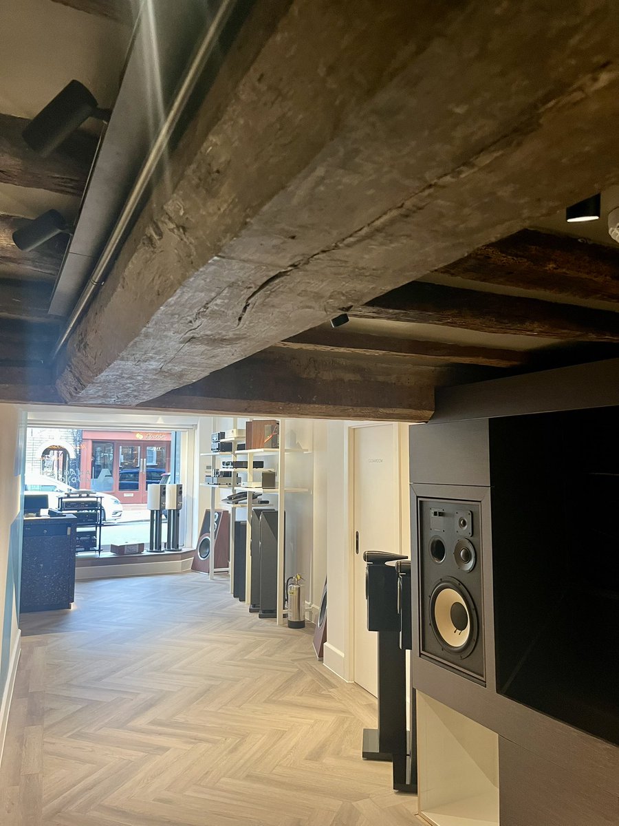 Ammonite tweet media