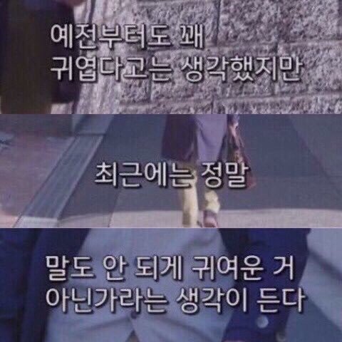 D2AR_HOSHI's tweet photo. 하... 순영아 진짜ㅠ
이렇게까지 귀여워도 되는걸까 https://t.co/BkElxvDAPB