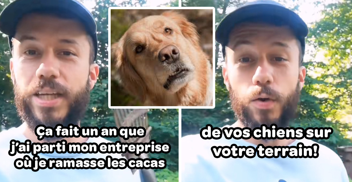 PetitPetitGamin's tweet image. Ce gars au Québec offre un service de ramassage pour les propriétaires de chien
petitpetitgamin.com/2025/07/21/ce-…