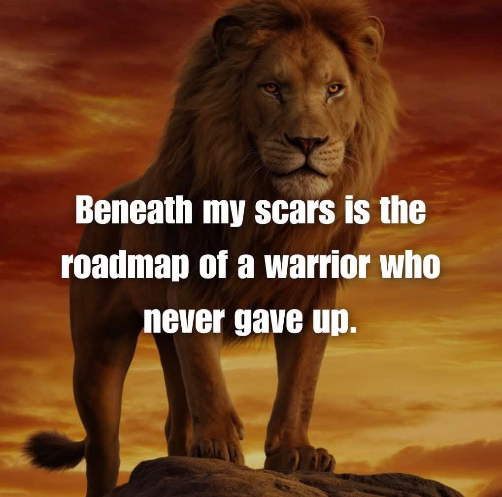 Maureen Lopez (@mlimpact0804) on Twitter photo ✨🌟✨ 7.21.2025 ✨🌟✨
Warriors run head in to a challenge, and we have scars of all shapes and sizes to show for it😉
Link🆙,engage,♻️REPOST♻️
<a href="/bdonesem/">💞 𝔀𝓱𝓲𝓼𝓹𝓮𝓻 💞 ( 𝓐𝓵 ) 😘</a>
<a href="/KEVINMAGA2024/">ULTRA MAGA KEVIN</a>
<a href="/SirFlyzalot/">🇺🇸🇮🇱✈️Sir Flyzalot✈️🇮🇱🇺🇸</a>
@Janninereid1
<a href="/Zegdie/">⧼D̼⧽⧼i̼⧽⧼a̼⧽⧼n̼⧽⧼e̼⧽</a>
<a href="/texasrecks/">TexasRex 🇺🇸</a>
@Ames2420
<a href="/PaulaRed62/">Paula 💜</a>
<a href="/JamesPleickhar2/">James Pleickhardt</a>
<a href="/NanUnbowed/">Sha YUMING 💗💖💓</a> ✨🌟✨ 7.21.2025 ✨🌟✨
Warriors run head in to a challenge, and we have scars of all shapes and sizes to show for it😉
Link🆙,engage,♻️REPOST♻️
<a href="/bdonesem/">💞 𝔀𝓱𝓲𝓼𝓹𝓮𝓻 💞 ( 𝓐𝓵 ) 😘</a>
<a href="/KEVINMAGA2024/">ULTRA MAGA KEVIN</a>
<a href="/SirFlyzalot/">🇺🇸🇮🇱✈️Sir Flyzalot✈️🇮🇱🇺🇸</a>
@Janninereid1
<a href="/Zegdie/">⧼D̼⧽⧼i̼⧽⧼a̼⧽⧼n̼⧽⧼e̼⧽</a>
<a href="/texasrecks/">TexasRex 🇺🇸</a>
@Ames2420
<a href="/PaulaRed62/">Paula 💜</a>
<a href="/JamesPleickhar2/">James Pleickhardt</a>
<a href="/NanUnbowed/">Sha YUMING 💗💖💓</a>