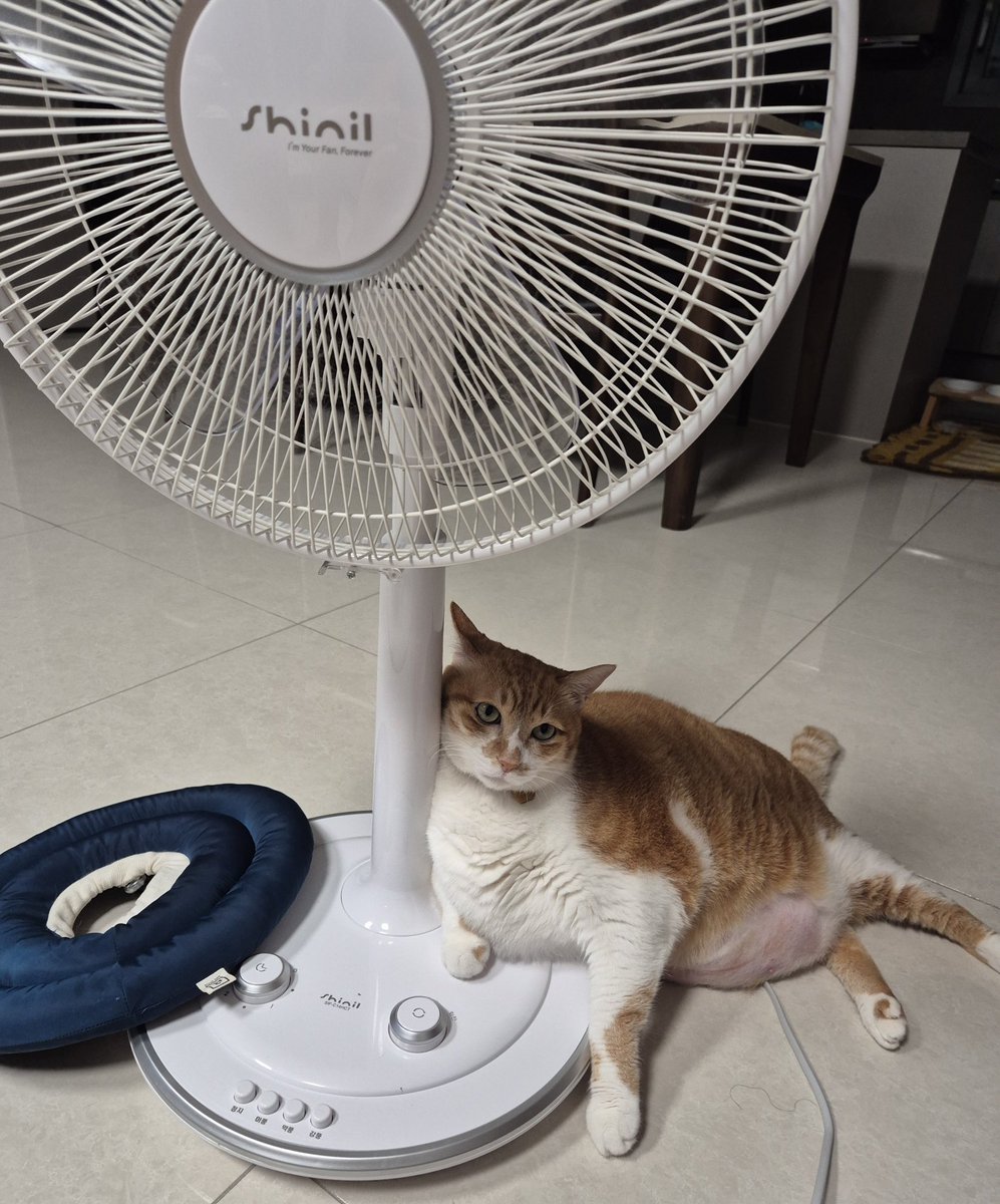 geumdong103's tweet image. 혼나는 중…인 걸 믿어주는 분이 있으려나…