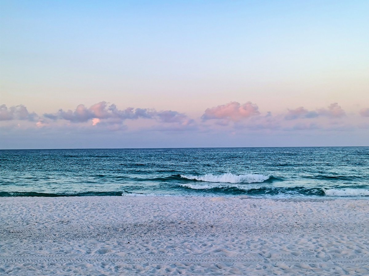 Vol Investor (@robson_ge) on Twitter photo 