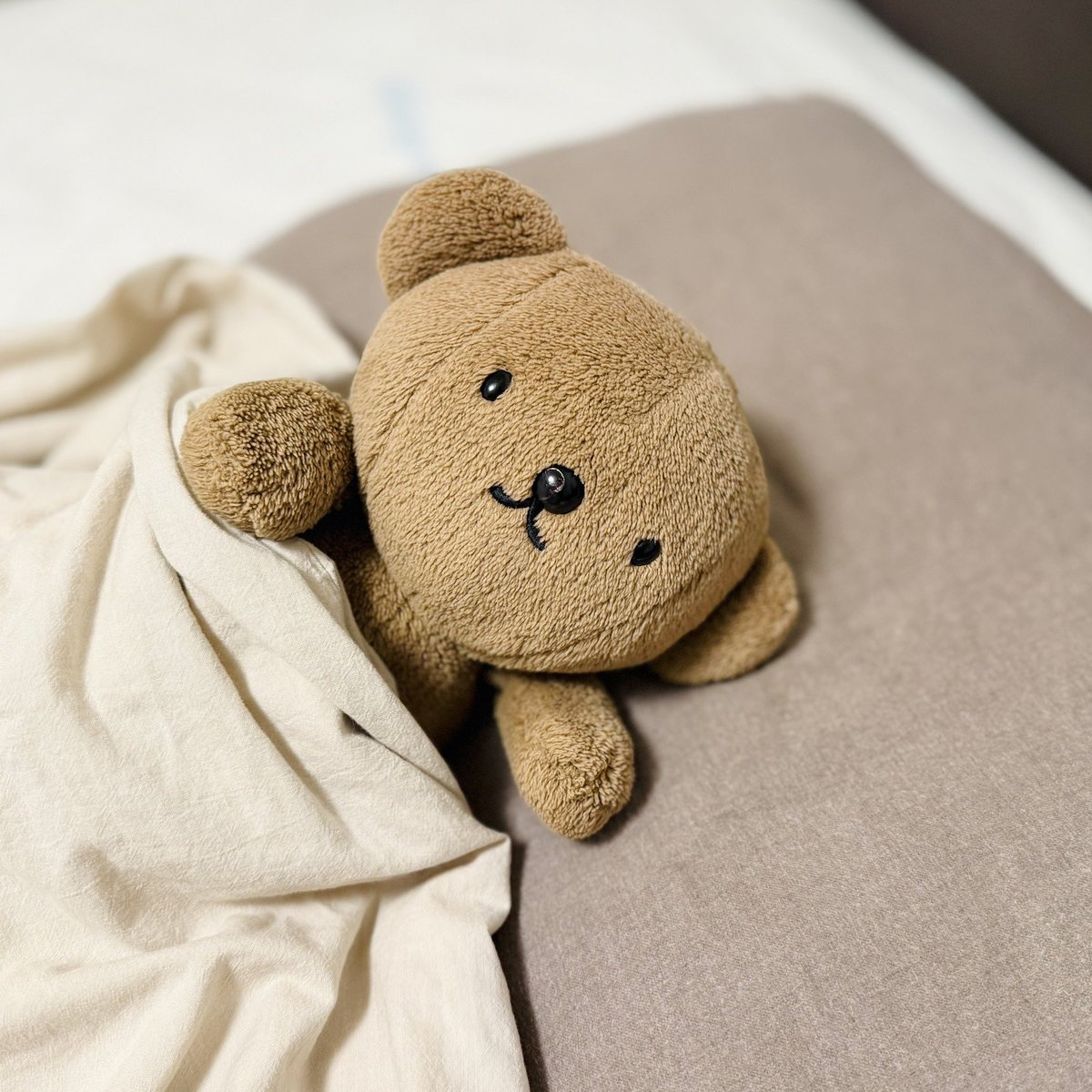 BorisPori's tweet image. あとは寝るだけ( ・ᴥ・ )🌙
